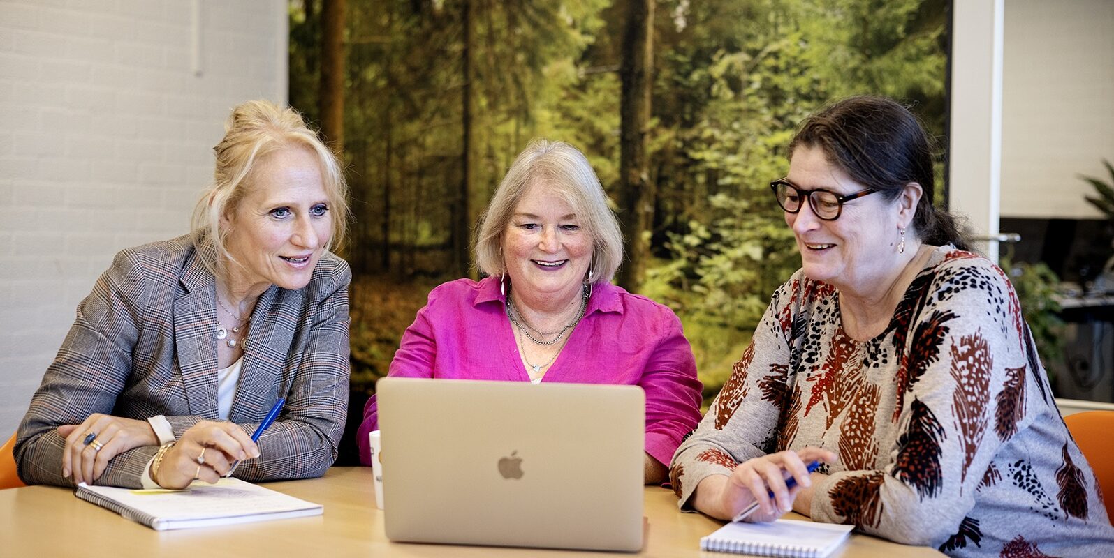 Omschrijving afbeelding over WEEE-, textiel-, batterij- en verpakkingenrapportages